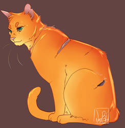 Firestar, an Old Hero