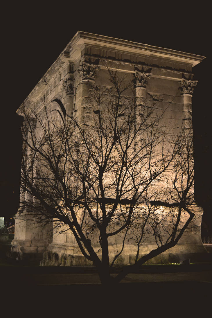 Roman roots by ennayadahno on DeviantArt