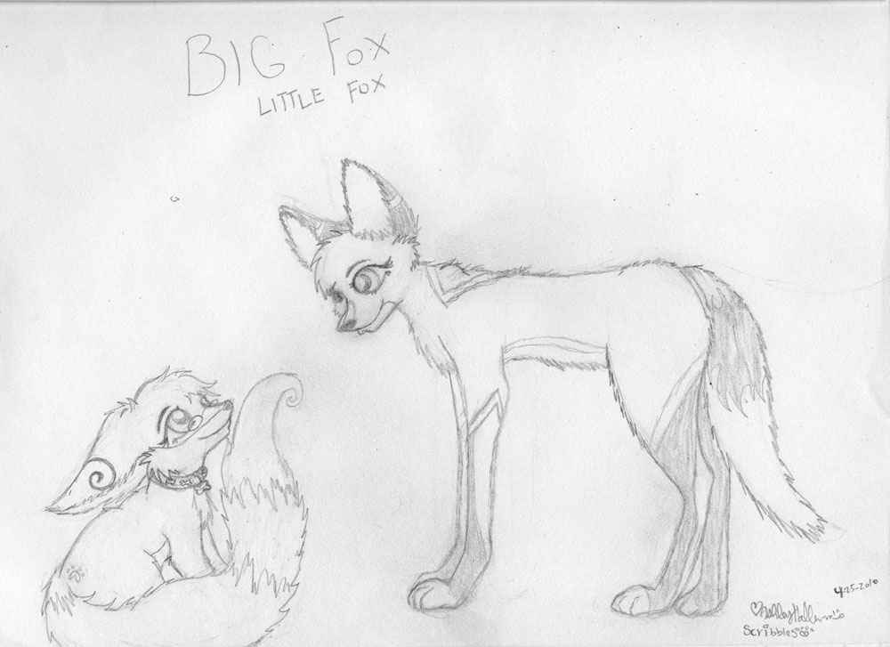 BIG FOX little fox