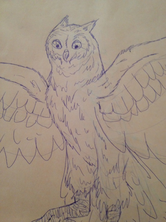 Owl Doodle