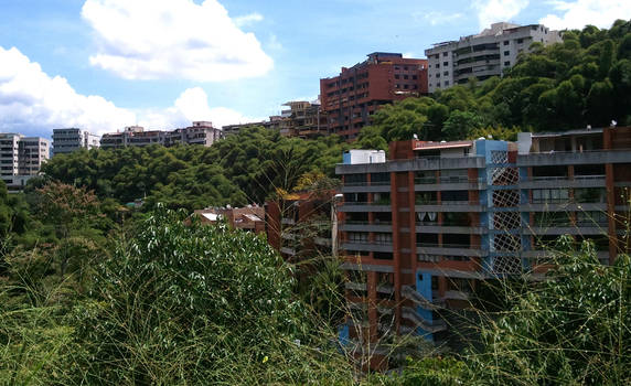 Valles de Caracas