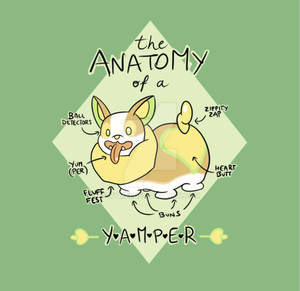 The Anatomy of a Yamper SHIRT FOR SALE