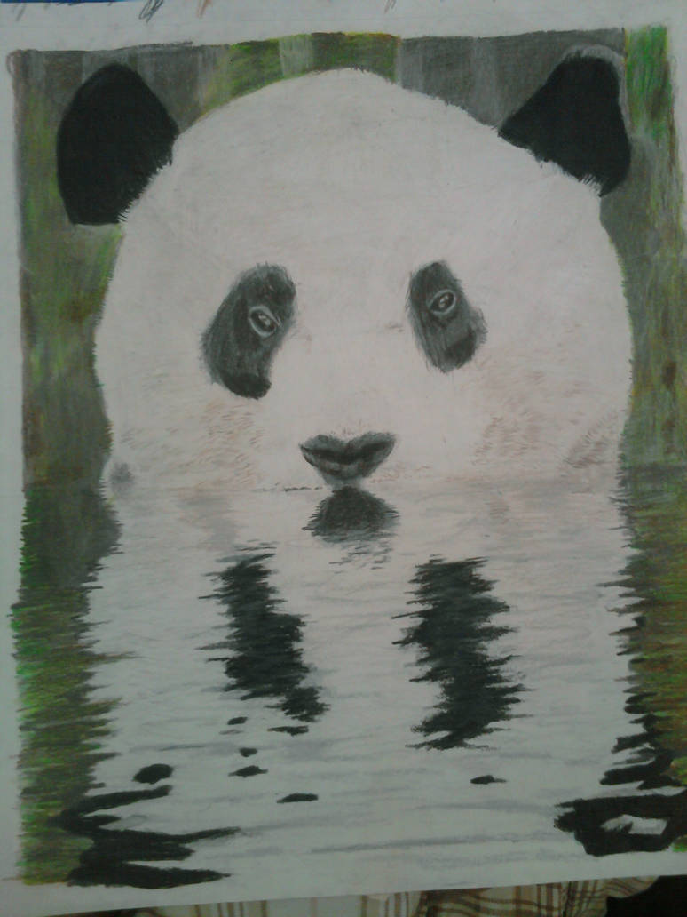 Panda Reflection by becky-oz1516 on DeviantArt