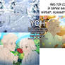 closed YCH auction couple in three seasons