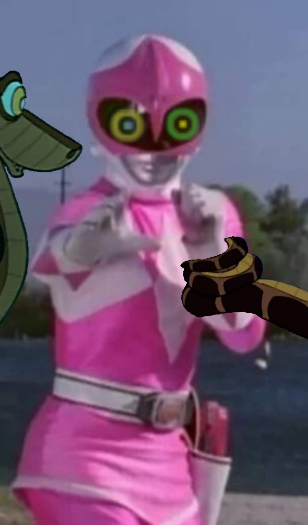 Pink ranger vs kaa by cylas8337 on DeviantArt