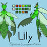 How does this look for my first ever proper ref?