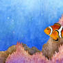 The Clownfish Experiment