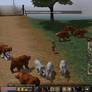 Metin 2 mating animals xD