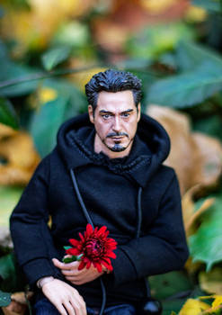 Tony Stark BJD Doll. Autumn Day 03
