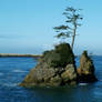 Oregon Coast