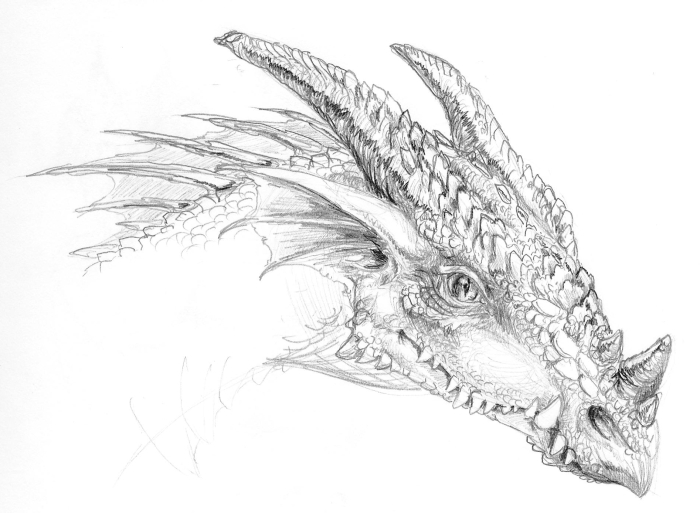 Dragon Portrait Sept 20, 2007