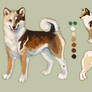 Variegated - Shiba adoptable sold