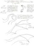How to tell the Difference by dragonfiend