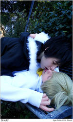 Drrr: Kiss at Ikebukuro's park