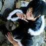 Izaya Orihara cosplay