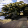 maria Island Tasmanaia Infrared super blue