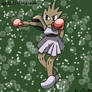 #107: Hitmonchan