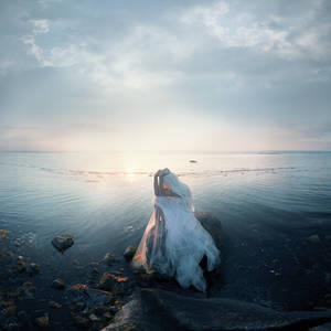 The Sailor's Bride II by Sturmideenkind