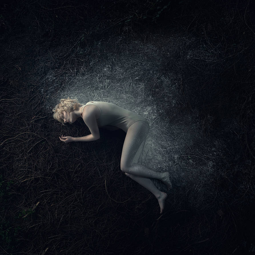 fallen by Sturmideenkind