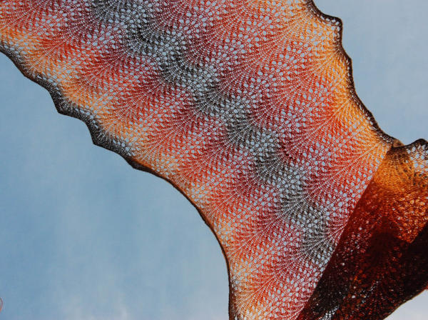 Hand Knit Lace Shawl in Autumn Colors