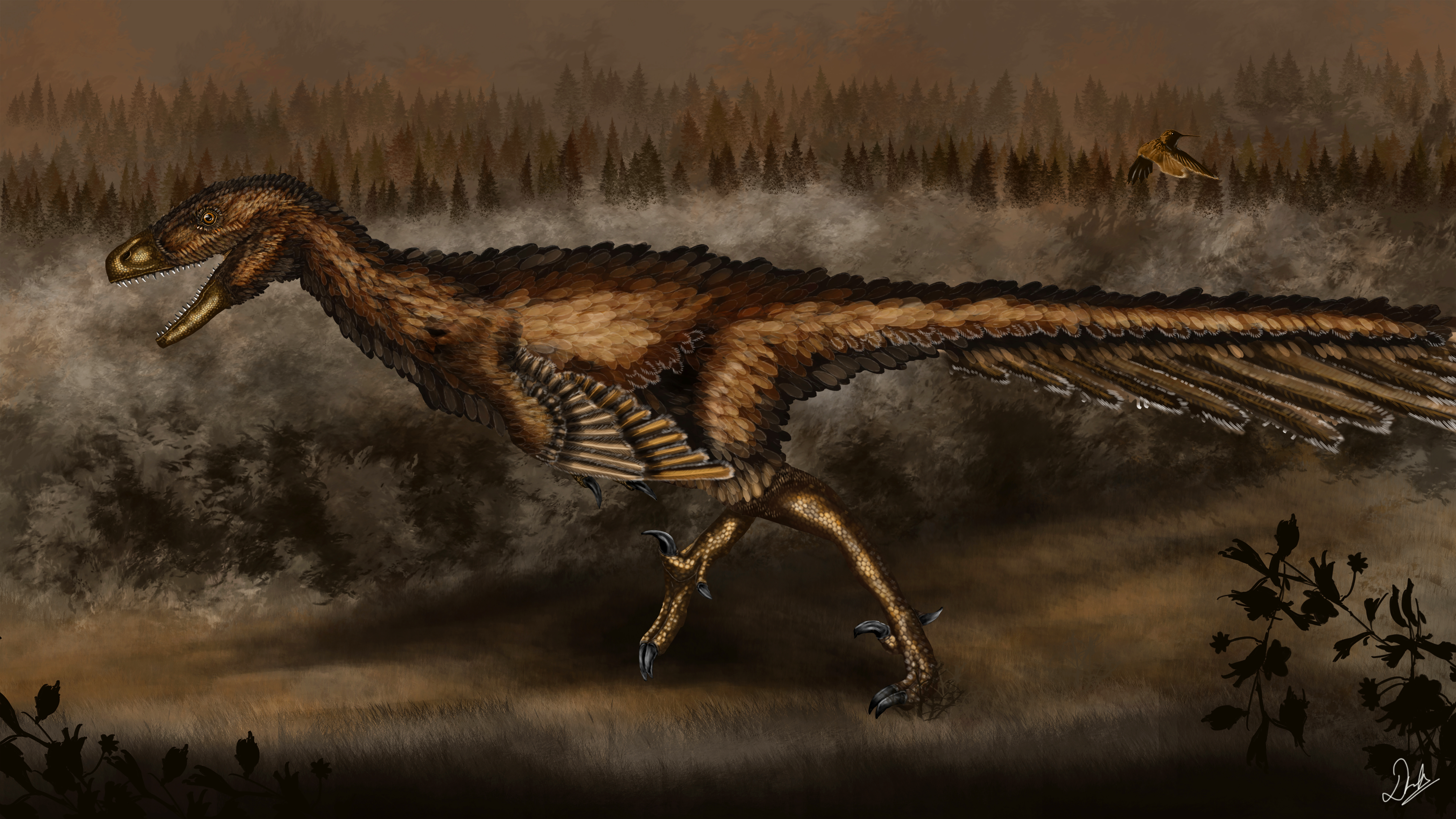 Troodon formosus updated