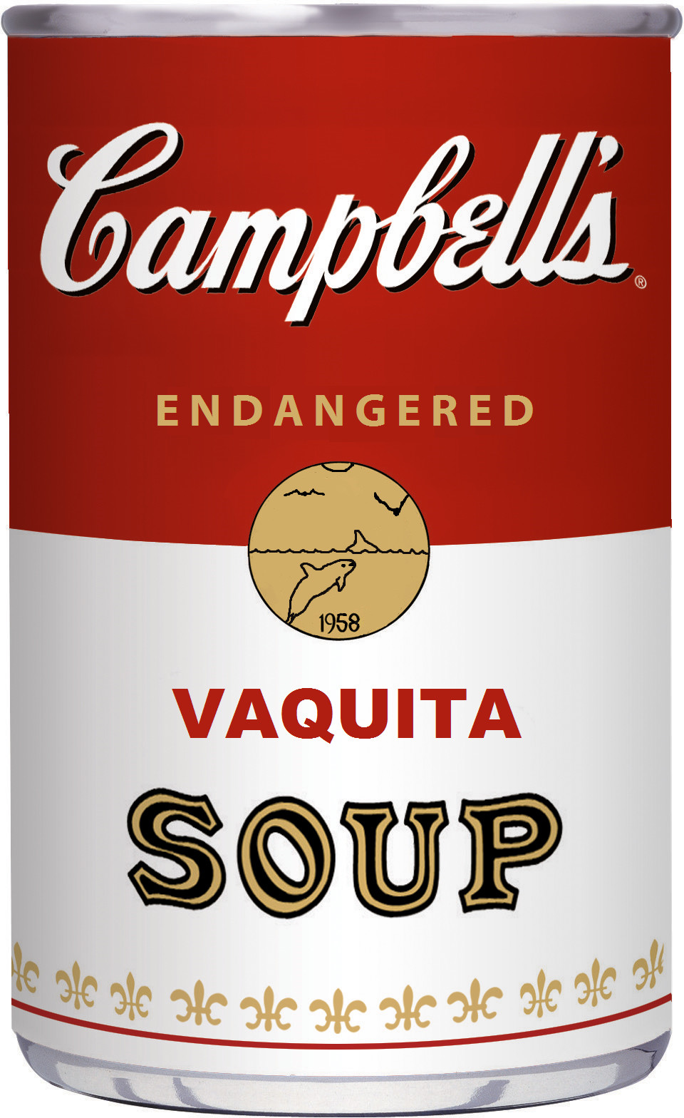 Vaquita soup