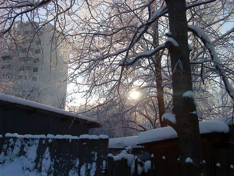 Rus-Winter Photo 9
