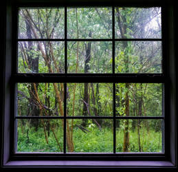 the secrete window