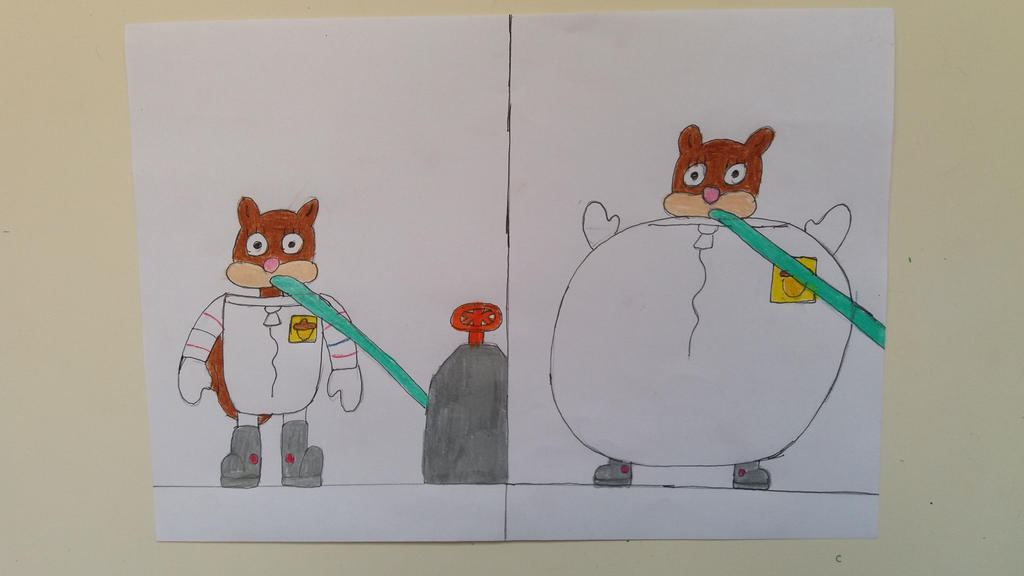 Sandy Cheeks Inflated and Deflated Part 1 by 95DArts on DeviantArt