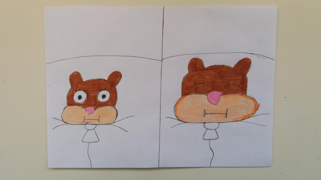 Sandy Cheeks Inflated and Deflated Part 3 by 95DArts on DeviantArt