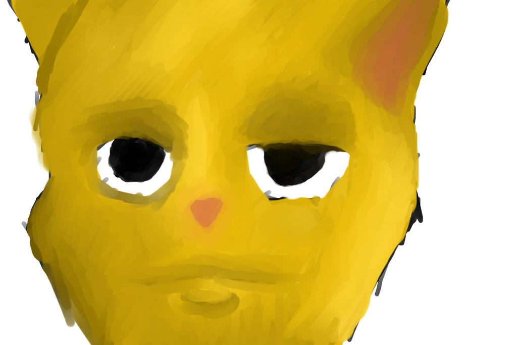 Some random cat pic by Entity-1 on DeviantArt