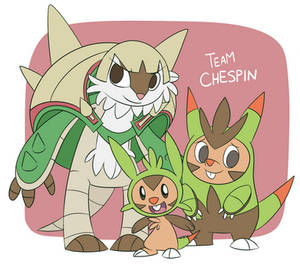 Team Chespin SPOILERS