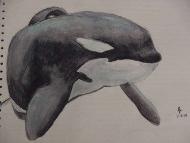 Orca 2