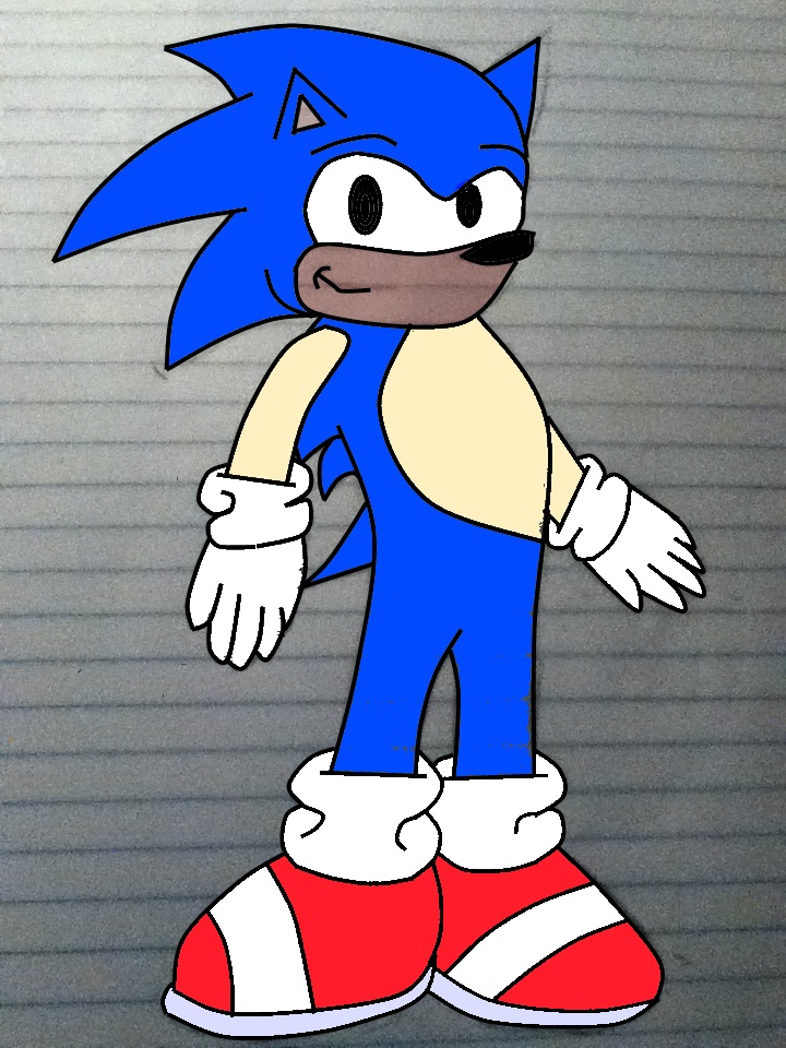 Sonic the Hedgehog