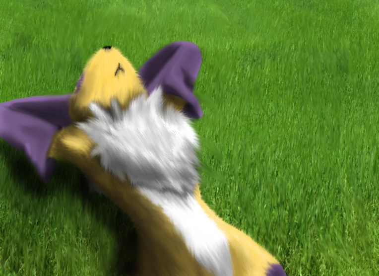 Renamon in the grass