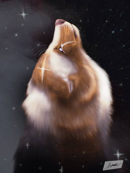 Savveika - Starstream