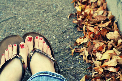 asphalt and autumn.