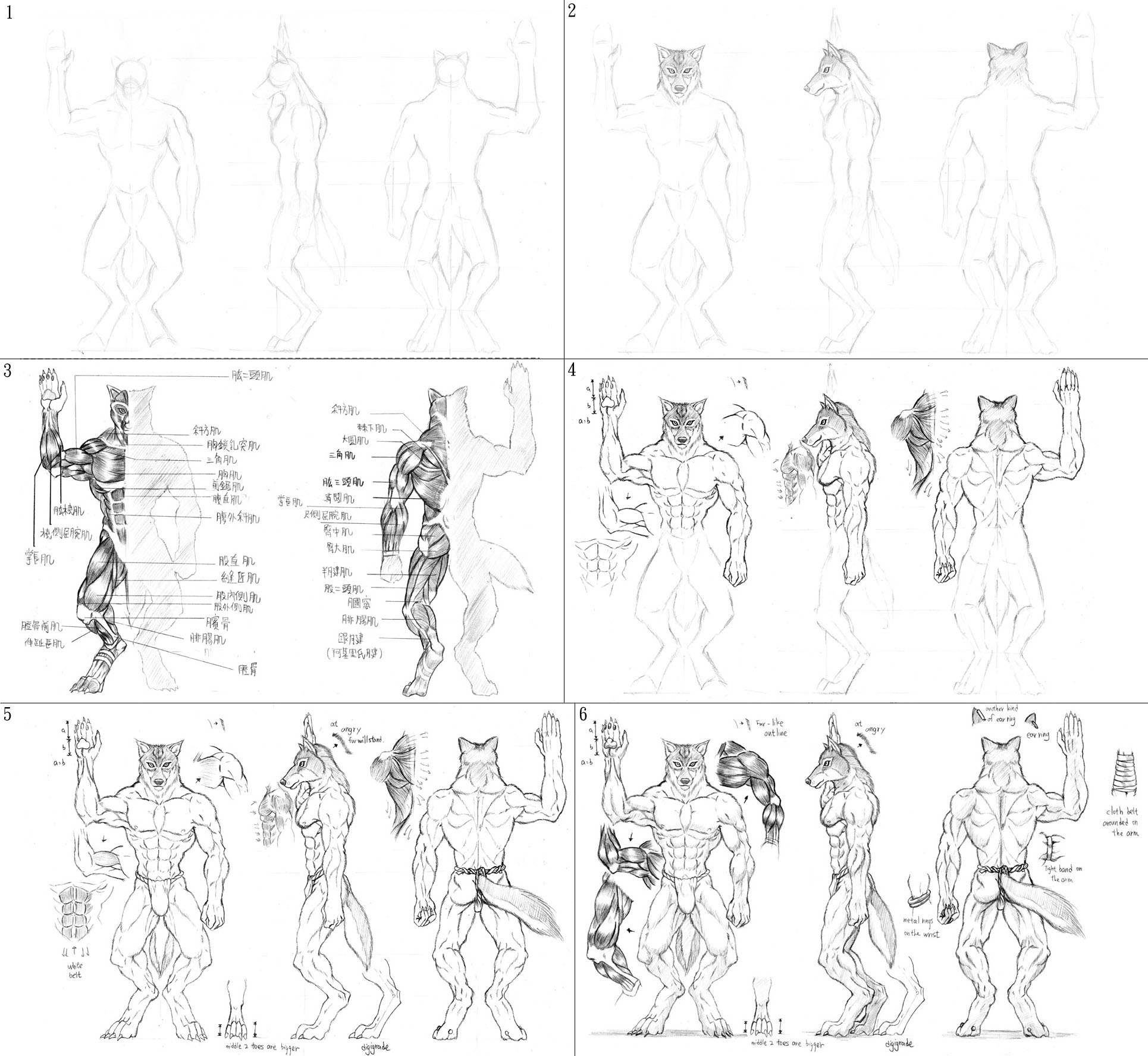 How I draw a werewolf? by WolfLSI