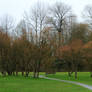 QE Park Bench