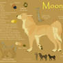 Character Sheet - Moonbeam
