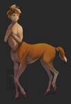Centaur Foal