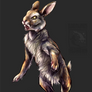 Wererabbit