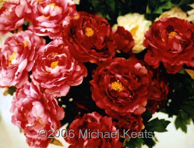 Silk Flowers by AeisLugh on DeviantArt