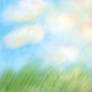 Sky and Grass