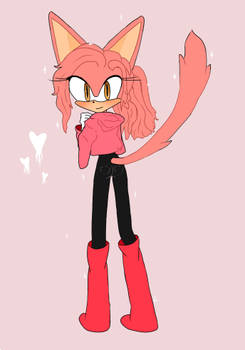 Rosa the Fennec Fox