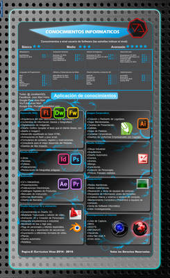 Curriculum Vitae 2014 pagina 2