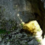 Lavigny Fier's gorges (2)
