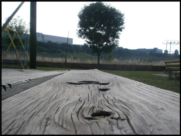 Treee by freedom-lqlq on DeviantArt