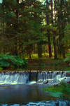 Healesville Creek HDR by Braunaudio