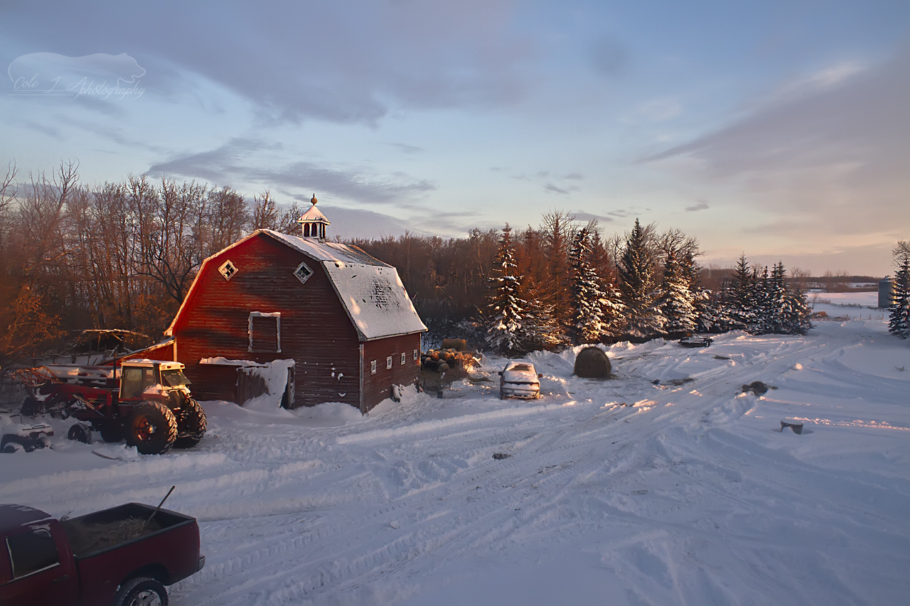 Winter Morning